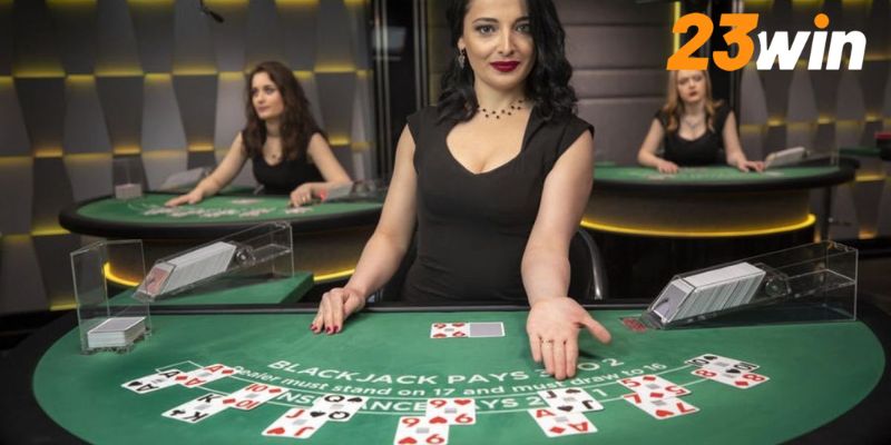 Dịch vụ CSKH được đánh giá cao